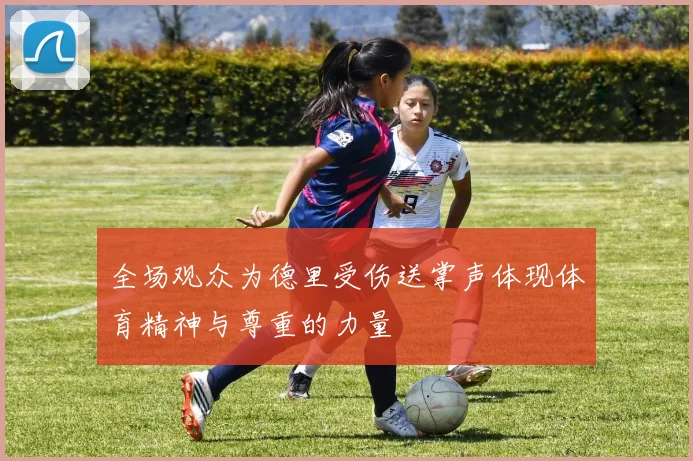 全场观众为德里受伤送掌声体现体育精神与尊重的力量