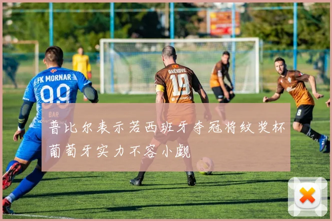 普比尔表示若西班牙夺冠将纹奖杯葡萄牙实力不容小觑